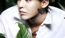 权志龙娱乐爆料是真的吗,权志龙娱乐爆料真实性揭秘